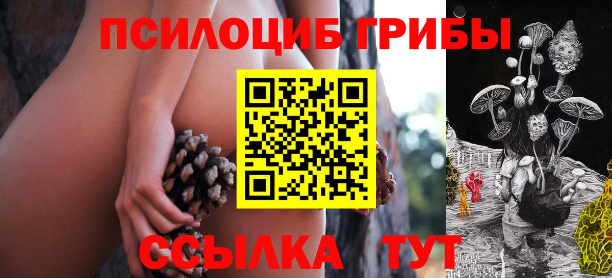 Унеча  Галлюциногенные грибы Magic Shrooms  Вход с VPN 