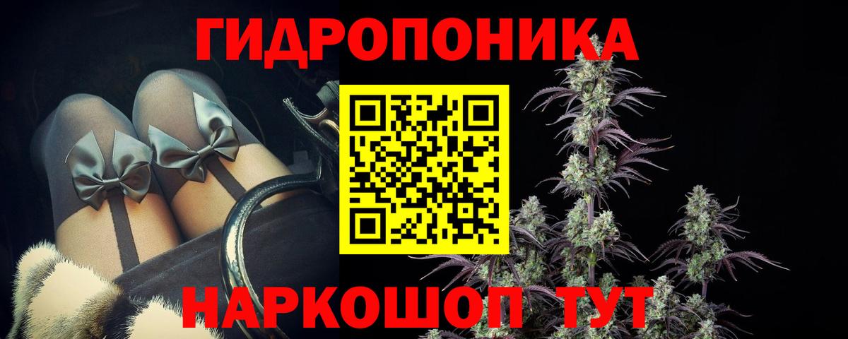 Шишки марихуана White Widow  Бошки марихуана AK-47  Вход с VPN  Унеча  Марихуана планчик  МАРИХУАНА AK-47 